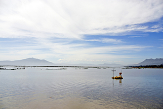 vue sur le lac Chapala depuis Ajijic, (Jalisco, Mexique)