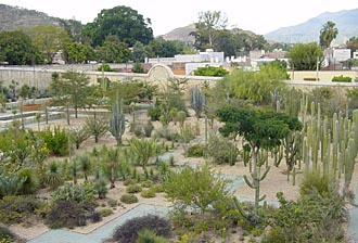 jardin ethnobotanique &agrave; Oaxaca (Mexique)